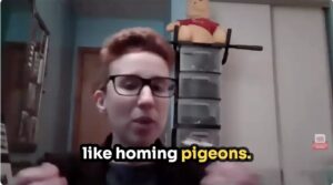 Sarah Mackin saying, "like homing pigeons"